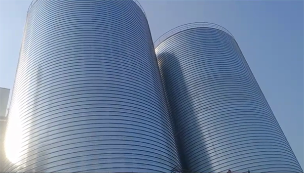 仙居2座混凝土高架卷板仓